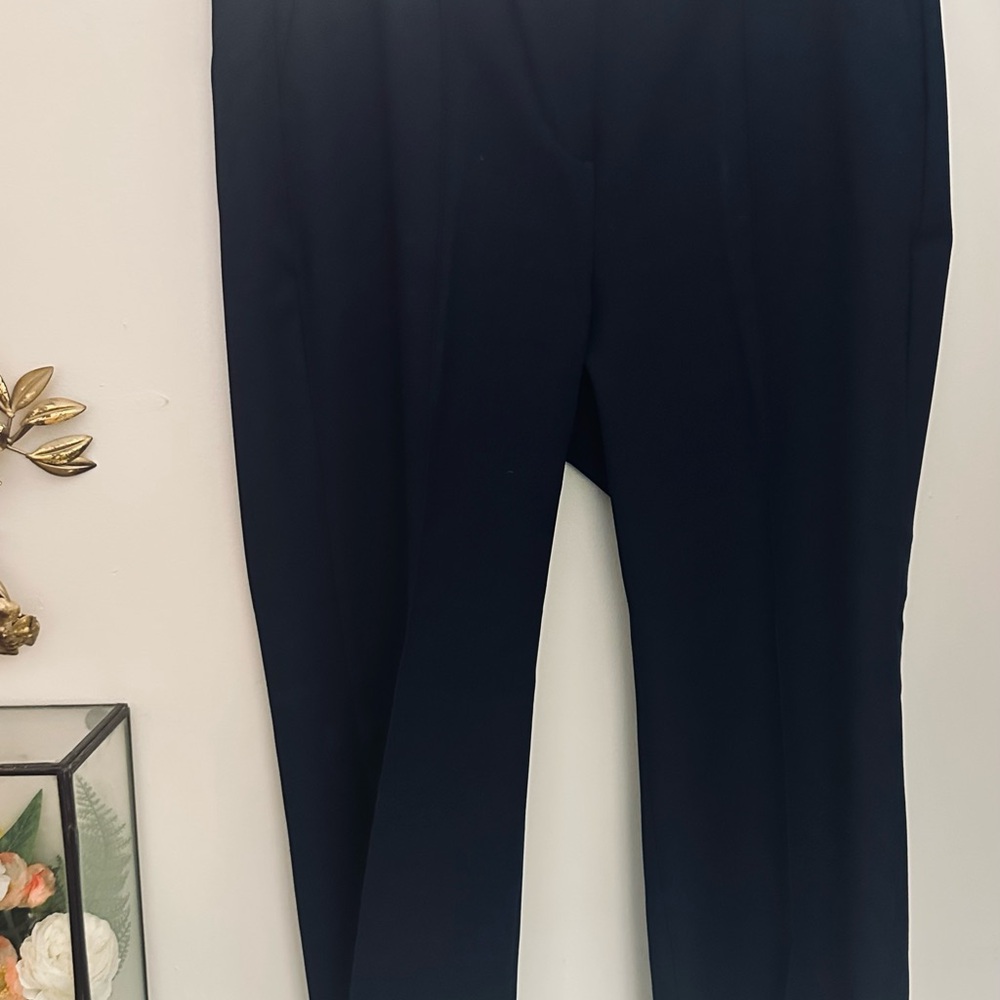 New J.Crew Navy Slacks